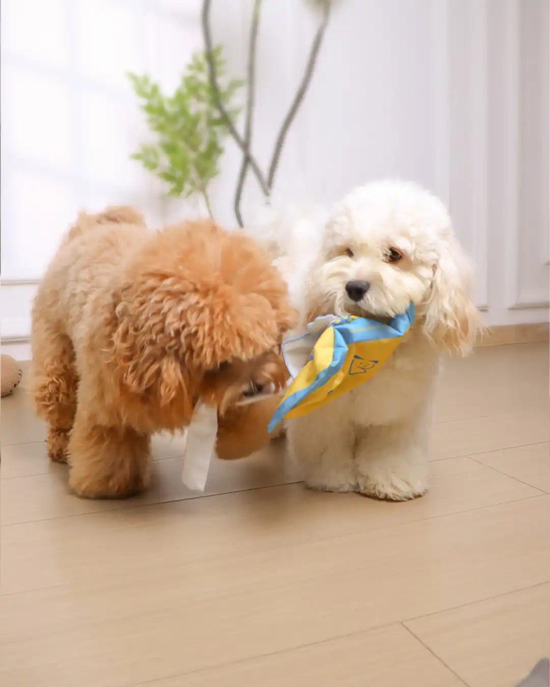 InstinctPull Snuffle Toy